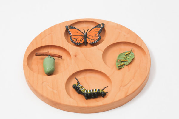 Modern-imagination-cycle-tray